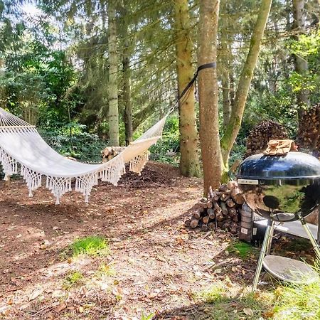 Luxe-Avontuur In Een Romantische Cabin In Het Bos Stekene المظهر الخارجي الصورة