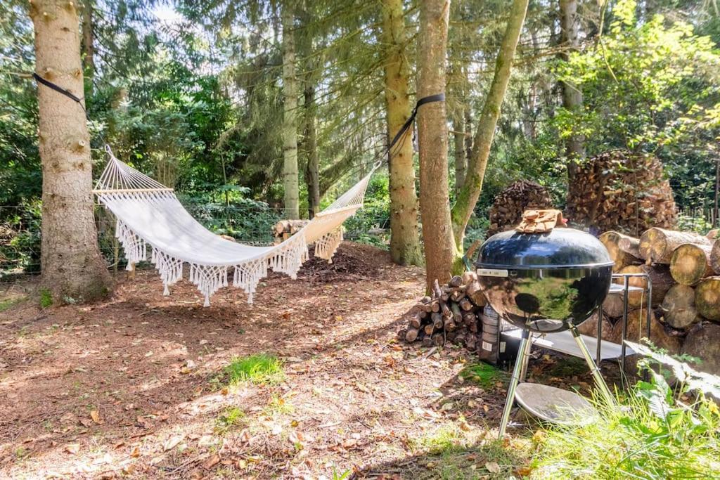 Luxe-Avontuur In Een Romantische Cabin In Het Bos Stekene المظهر الخارجي الصورة